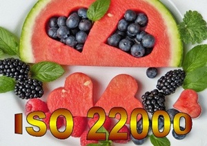 E 06v18 - Procédures instructions sécurité des denrées alimentaires ISO 22000 2018 - Ensemble de documents