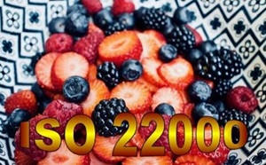 E 20v18 - Préparation à l'ISO 22000 sécurité des denrées alimentaires version 2018 - Ensemble de documents