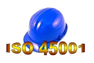 E 78v18 - Lot ISO 45001 management santé et sécurité au travail version 2018 - Ensemble de documents