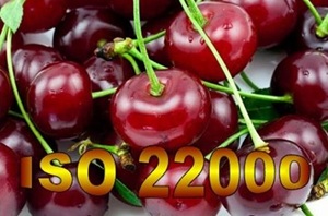 E 80v18 - Lot ISO 22000 système de management sécurité des denrées alimentaires 2018 - Ensemble de documents