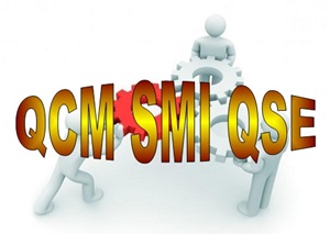 E 19 QCM quiz et études de cas formation SMI QSE qualité sécurité environnement