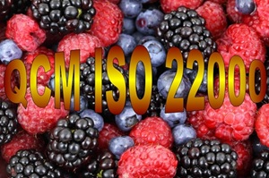 E 20 QCM quiz et études de cas formation ISO 22000 management sécurité des denrées alimentaires