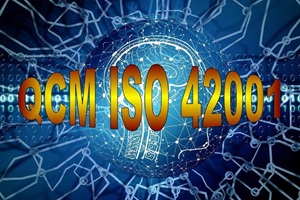 E 29 QCM quiz et études de cas formation ISO 42001 management de l'intelligence artificielle