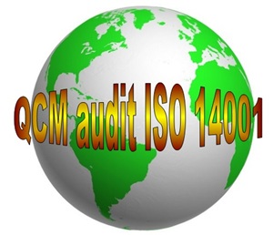 E 37 QCM quiz études de cas formation audit interne ISO 14001 management environnemental