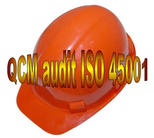 E 38 QCM quiz études de cas formation audit interne ISO 45001 santé sécurité au travail