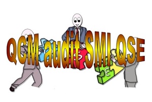 E 39 QCM quiz études de cas formation audit interne SMI QSE qualité sécurité environnement