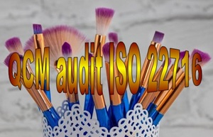 E 43 QCM quiz études de cas formation audit interne ISO 22716 BPF produits cosmétiques