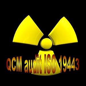 E 48 QCM, quiz et études de cas formation audit interne ISO 19443 sûreté nucléaire