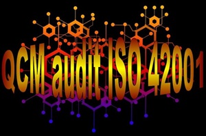 E 49 QCM quiz études de cas formation audit interne ISO 42001 intelligence artificielle