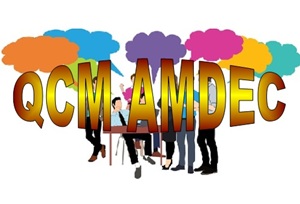 E 55 QCM études de cas formation démarche AMDEC