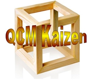 E 56 QCM études de cas formation démarche Kaizen