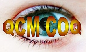 E 57 QCM études de cas formation démarche COQ coût d'obtention de la qualité