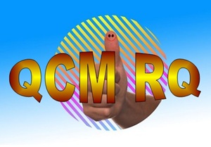 E 58 QCM et études de cas formation fonction responsable qualité
