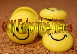 E 60 QCM et études de cas formation bonheur dans l'entreprise libérée