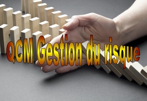 E 61 QCM et études de cas formation Gestion du risque ISO 31000 version 2018