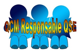 E 62 QCM études de cas formation fonction responsable QSE