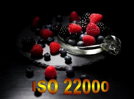 F 80v18 - Lot de formations ISO 22000 version 2018 - Préparation et audit de votre SMSDA denrées alimentaires