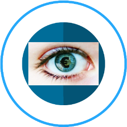 COQ